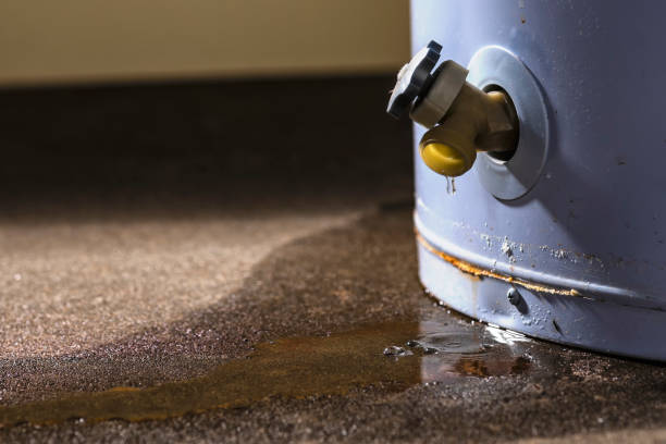 Best Carpet water damage restoration  in Hailey, ID
