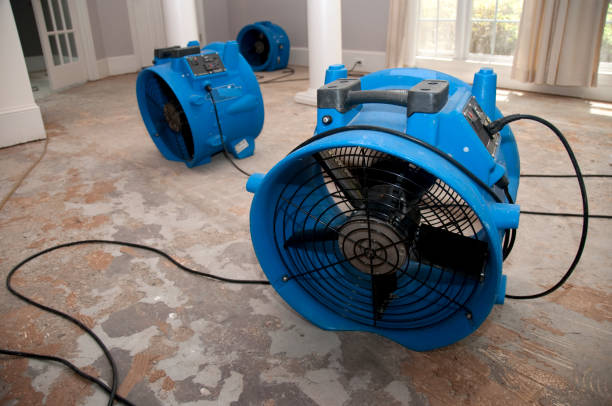 Best Residential water damage restoration  in Hailey, ID