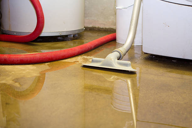 Best Sewage cleanup and water damage restoration  in Hailey, ID