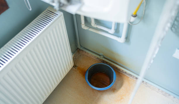Best Water damage cleanup near me  in Hailey, ID